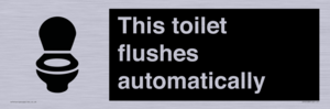 This toilet flushes automatically